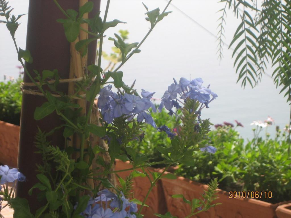 Villa Marietta 米诺利 外观 照片